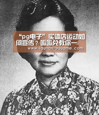 pg模拟器