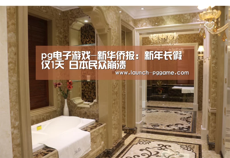 pg模拟器