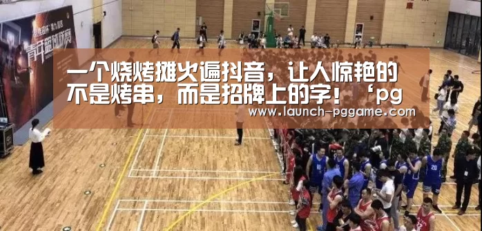 pg模拟器