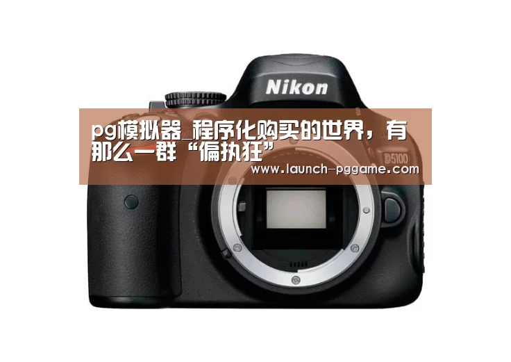 pg模拟器