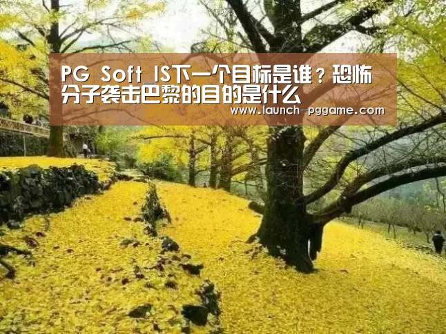 PG Soft